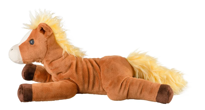 Pony