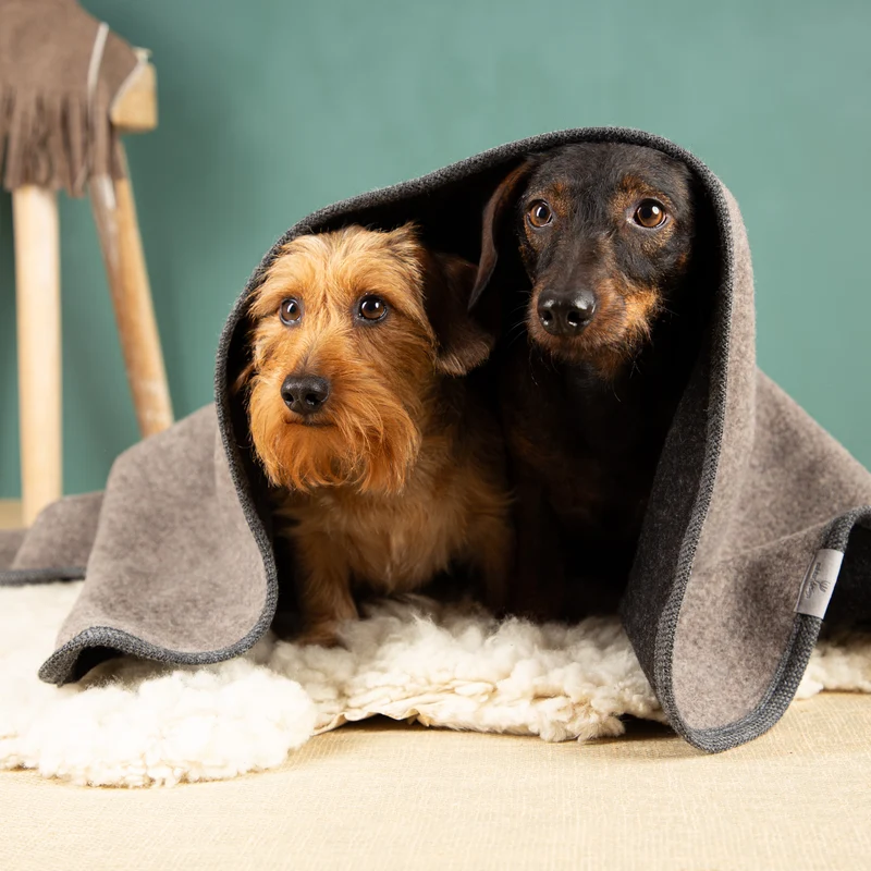 Hundedecke aus Schurwolle | Flauschloden