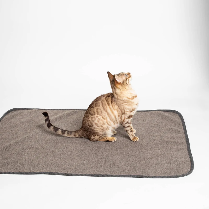 Katzendecke aus Loden | 100 % Schurwolle