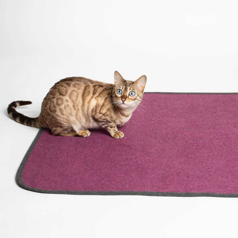 Katzendecke aus Loden | 100 % Schurwolle