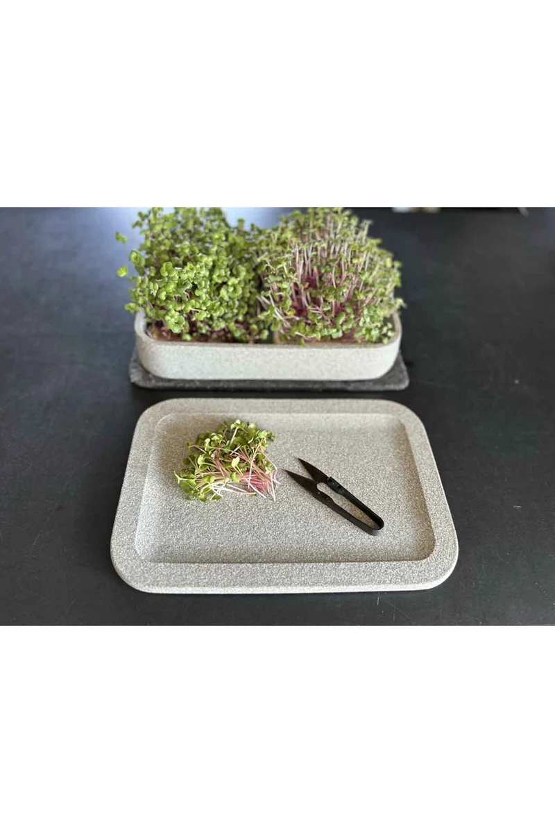 Mikrogarten XL Granicium mit Kräuterschere