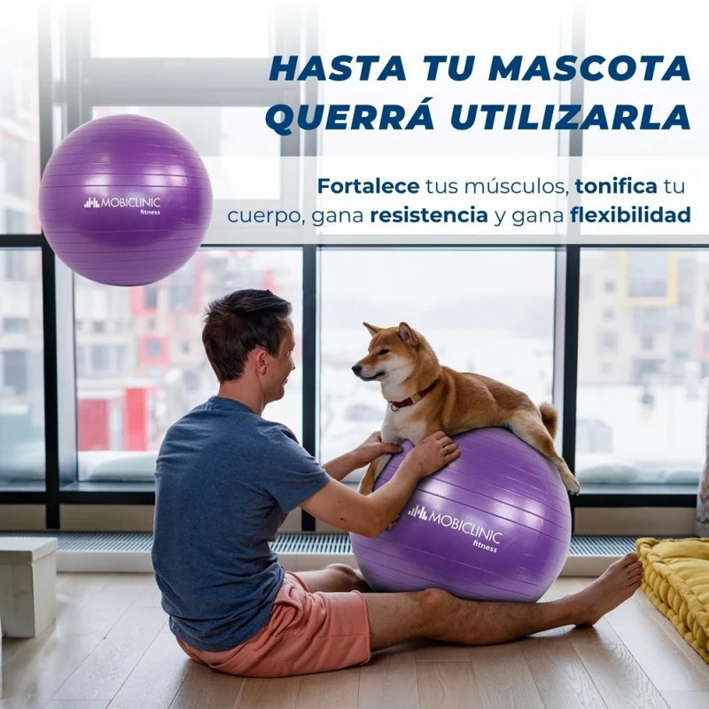 Pilates-Ball | 58 cm | Anti-Rutsch | Reißfest | Inklusive Inflator | Waschbar | Lila | PY-01 |Mobiclinic