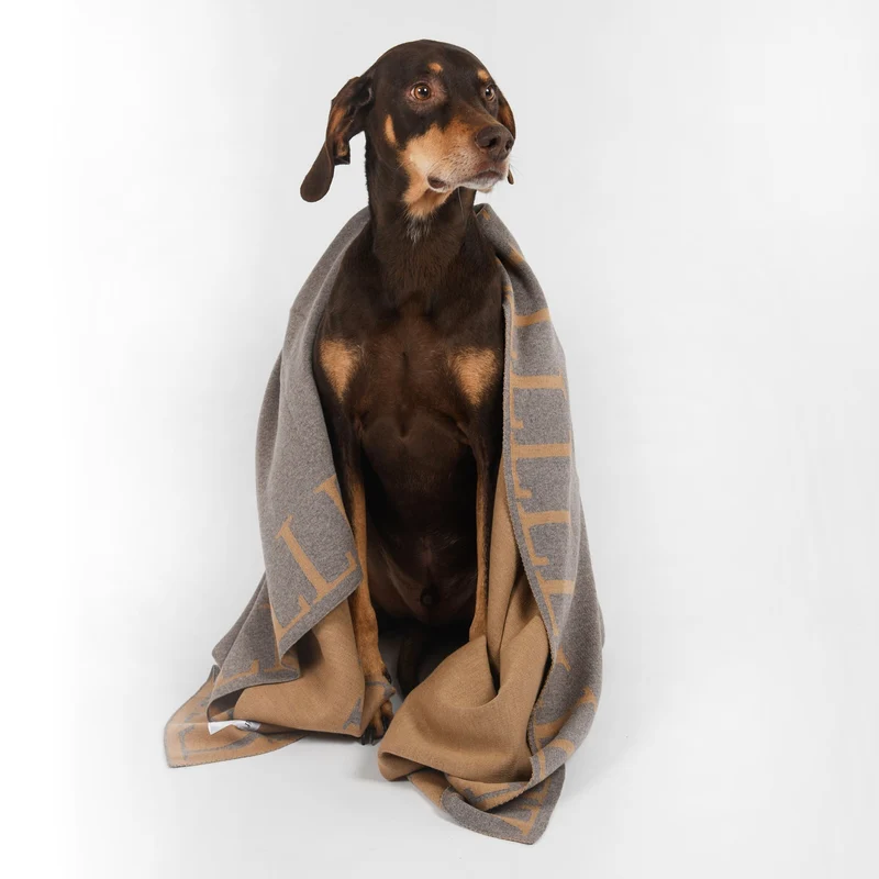 Decke 140x180cm LLLL, beige/camel