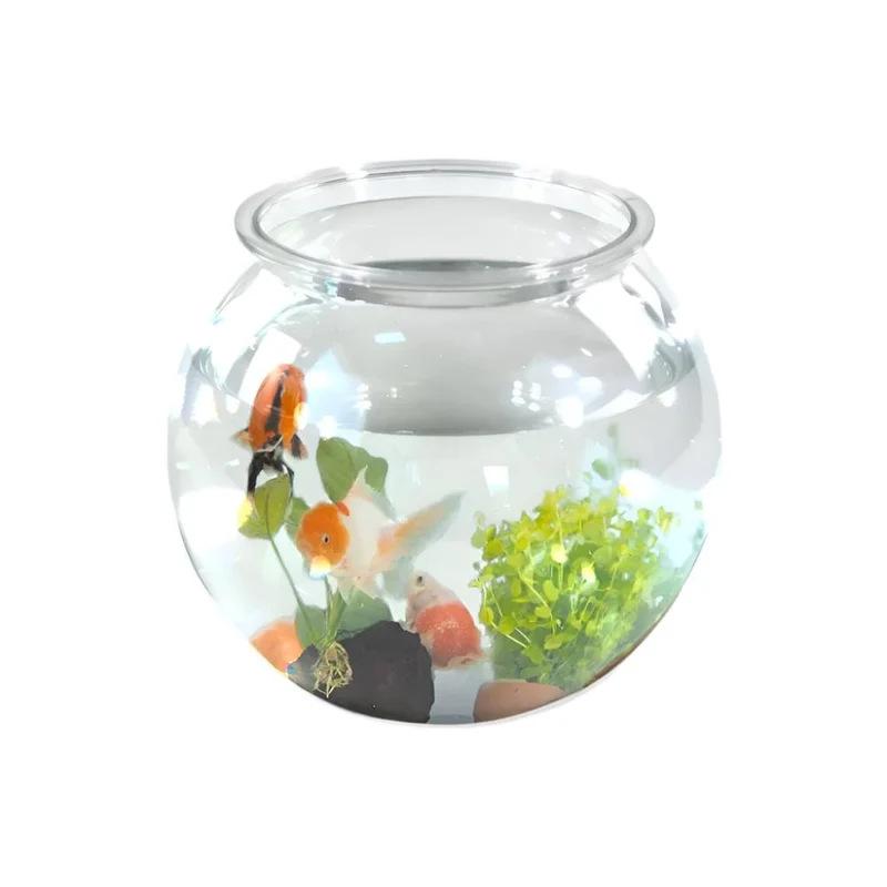 Kleines rundes Aquarium | PET-Öko | 4L | Kleine Fische | Einfache Reinigung | 20x20x17,5 cm | Wassergarten | Nemo | Mobiclinic