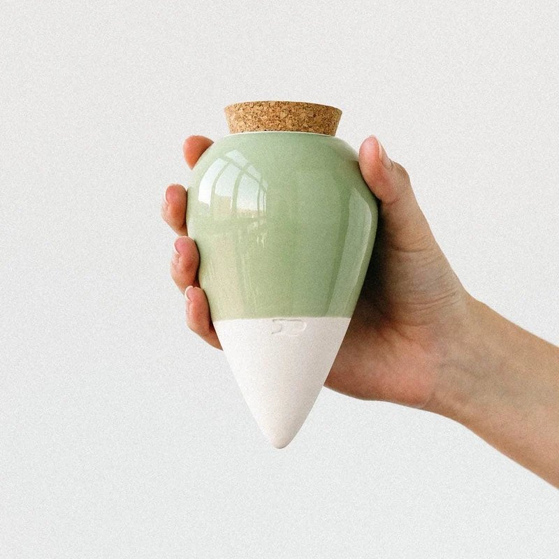 Plant Hydrator - Olla - Green