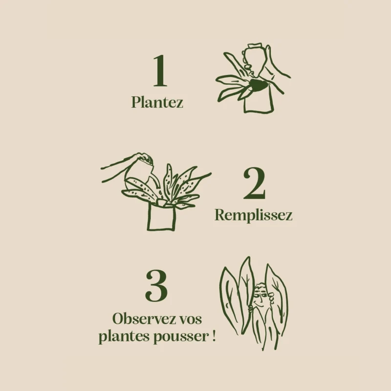 Plant Hydrator - Olla - Green