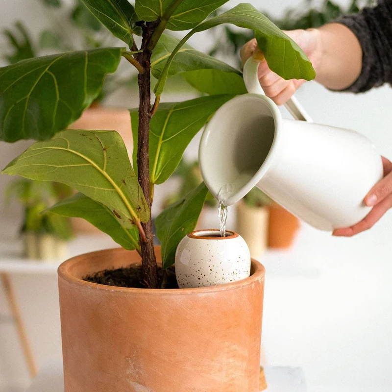 Plant Hydrator - Olla - Speckled White