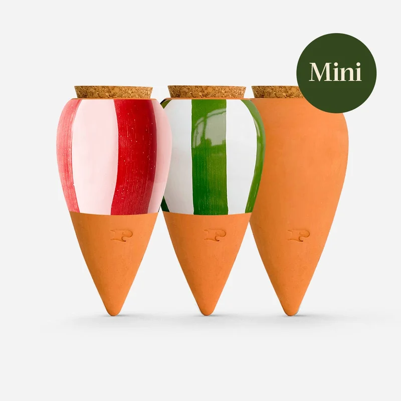 Plant Hydrators - Box Trio Mini Ollas - Striped
