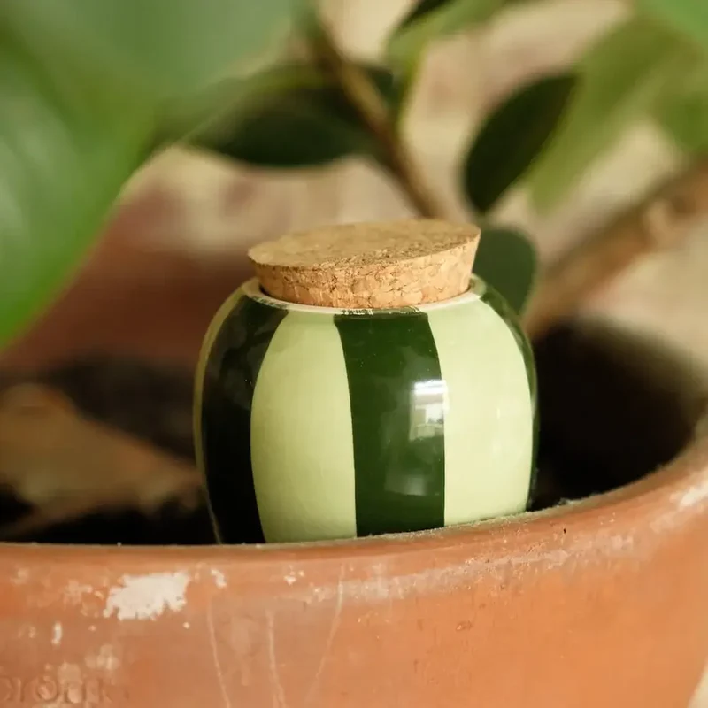 Plant Hydrator - Olla - Striped Green & Green
