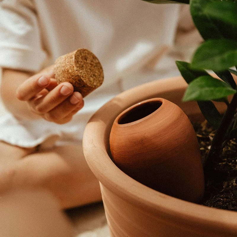 Plant Hydrator - Olla - Terracotta