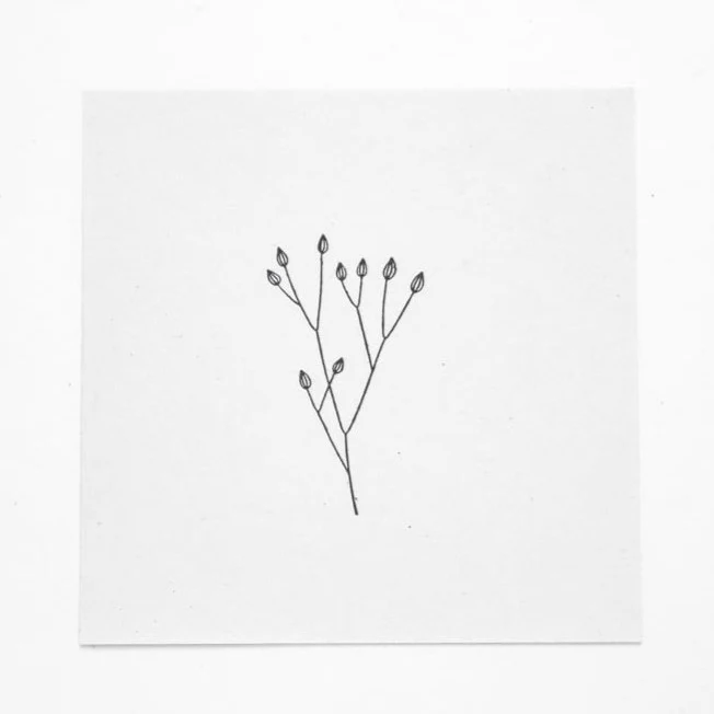 STEMPEL, RAINKOHL