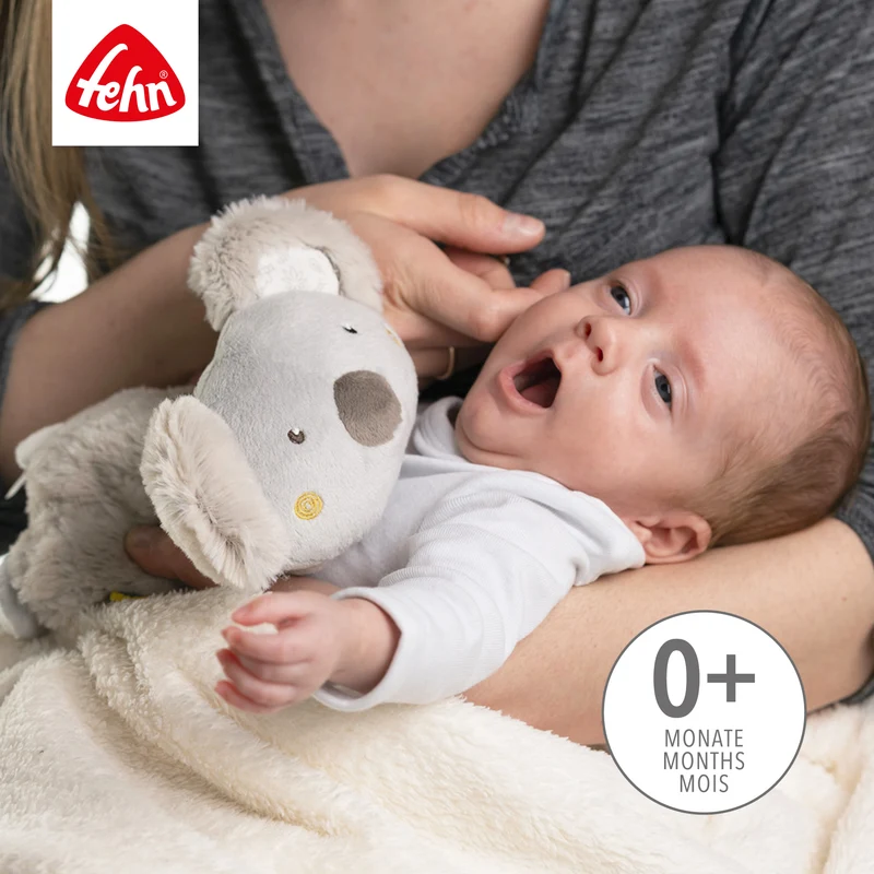 Wärmetier Koala