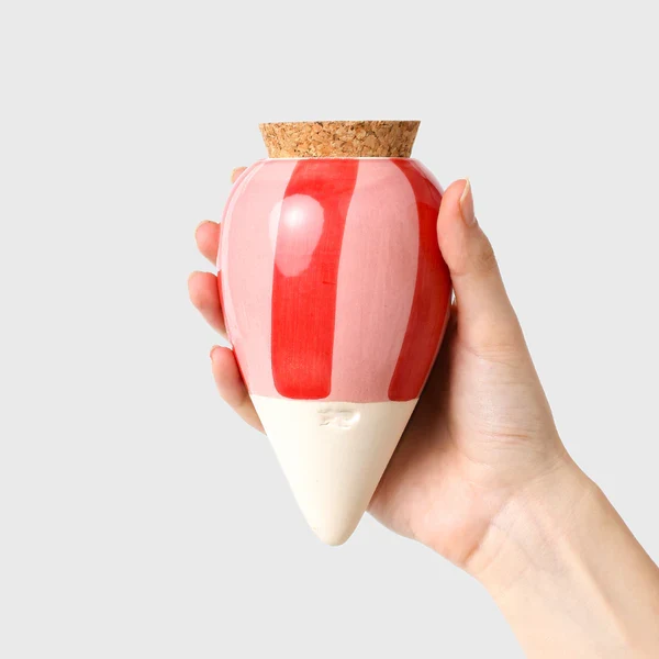 Plant Hydrator - Olla - Striped Pink & Red