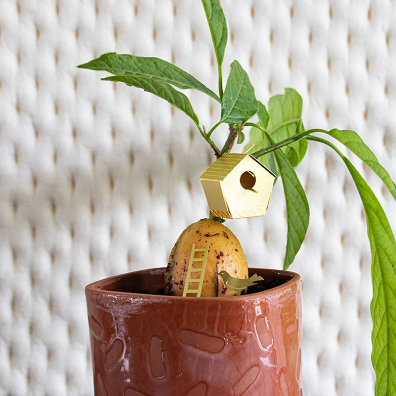Tiny Birdhouse