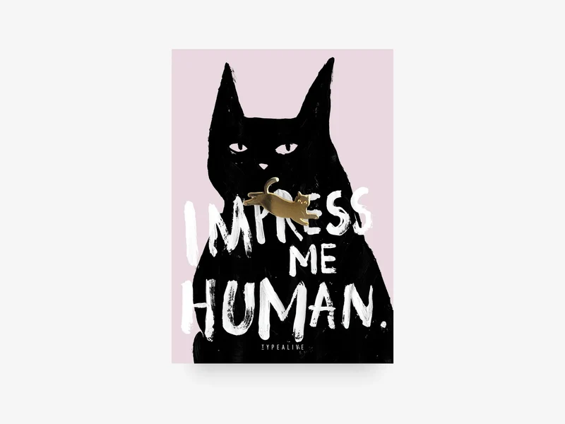 Pin - impress me human