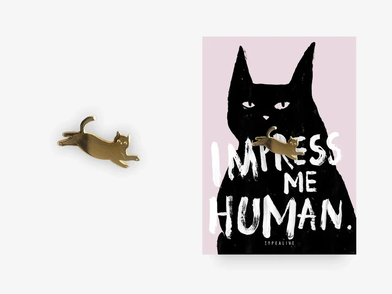 Pin - impress me human