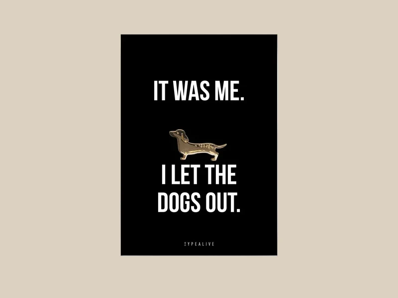 Pin - it was me