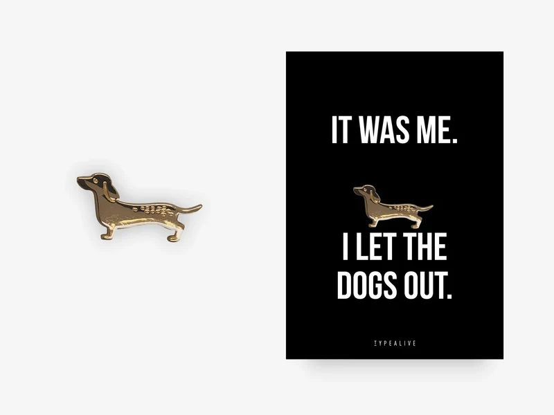 Pin - it was me