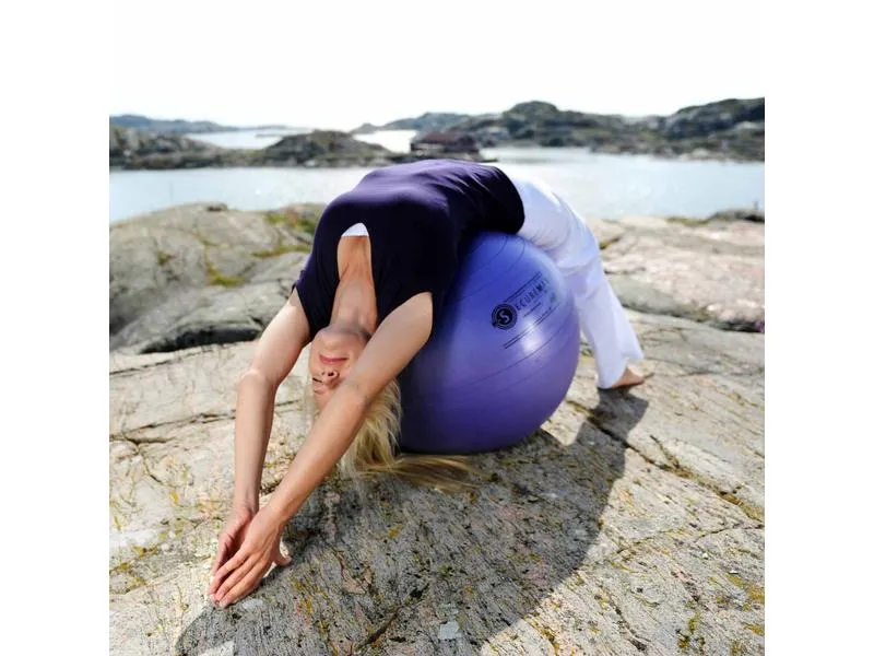 SISSEL Gymnastik- und Sitzball Securemax, lila, Ø 75 cm
