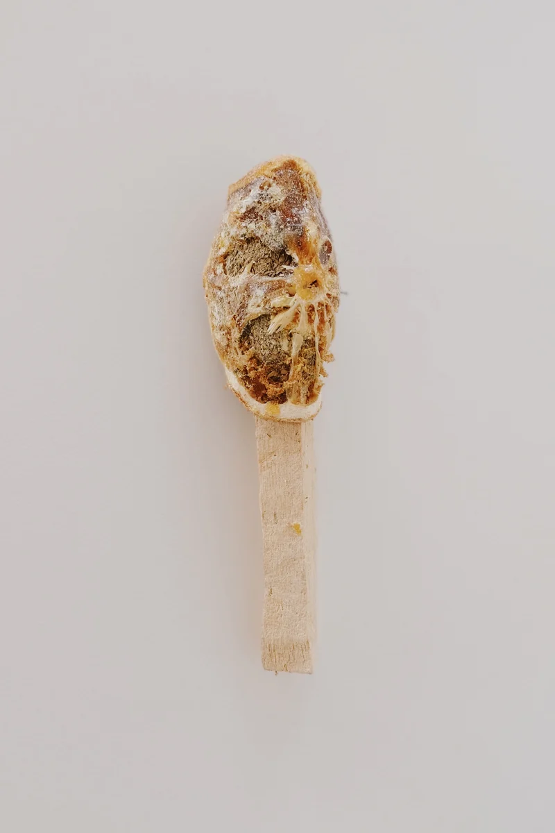 Smudge Sticks & Bundles