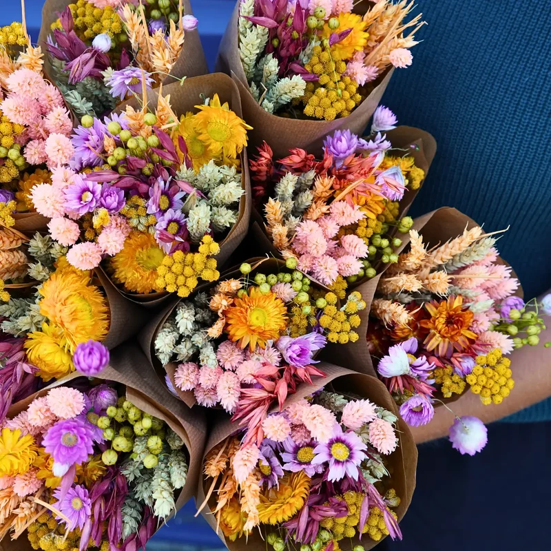 Dried Flowers - Bouquet - Seasonal Market Mix