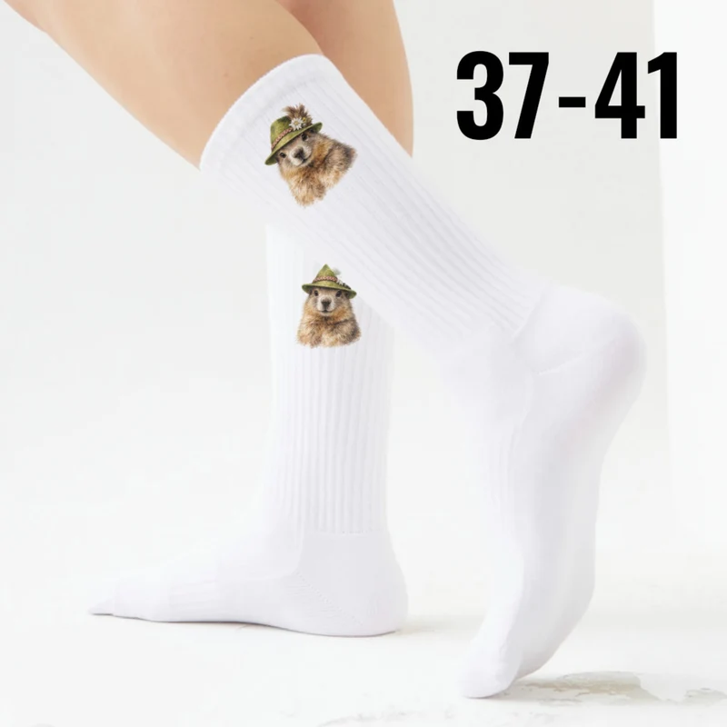 epicsocks Alpen Charme Alm und Berg Murmeltier Socken in 37-41 im Paar
