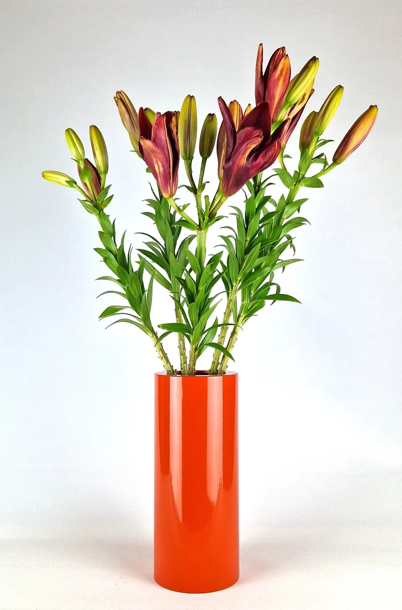 Stainless Steel Vase - Orange