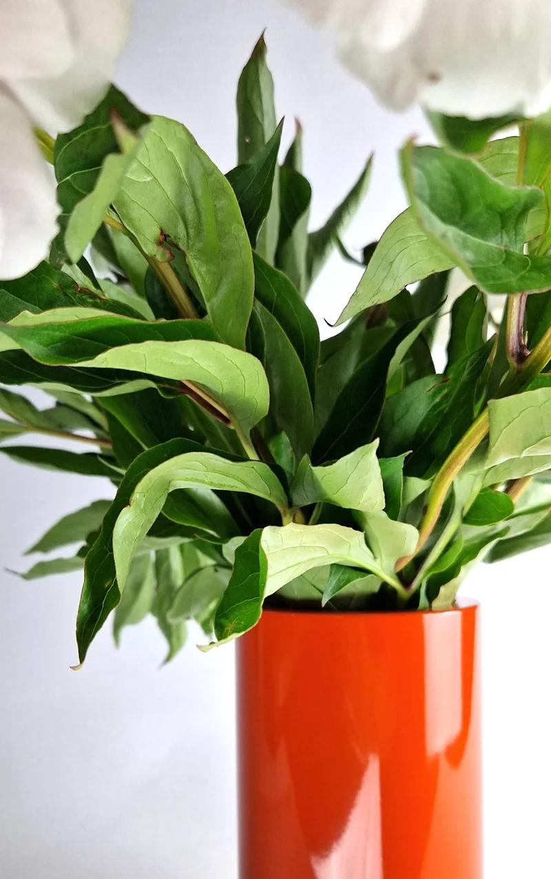 Stainless Steel Vase - Orange