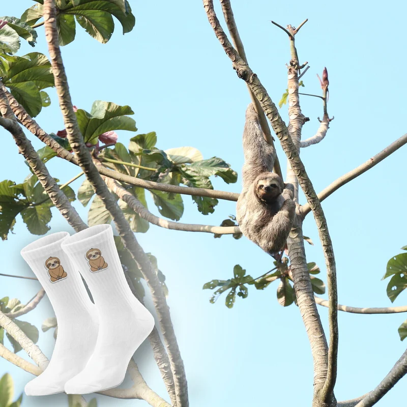 epicsocks Faultier Freude meditierendes Faultier Socken in 37-41 im Paar