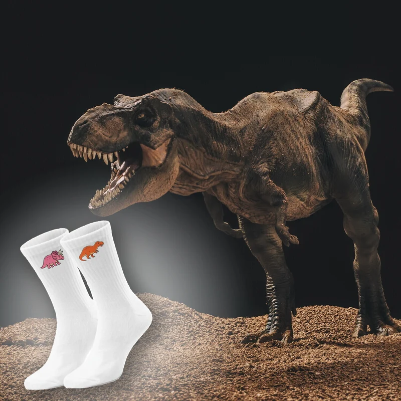 epicsocks Dino Delight Urzeitfreunde Socken in 37-41 im Paar