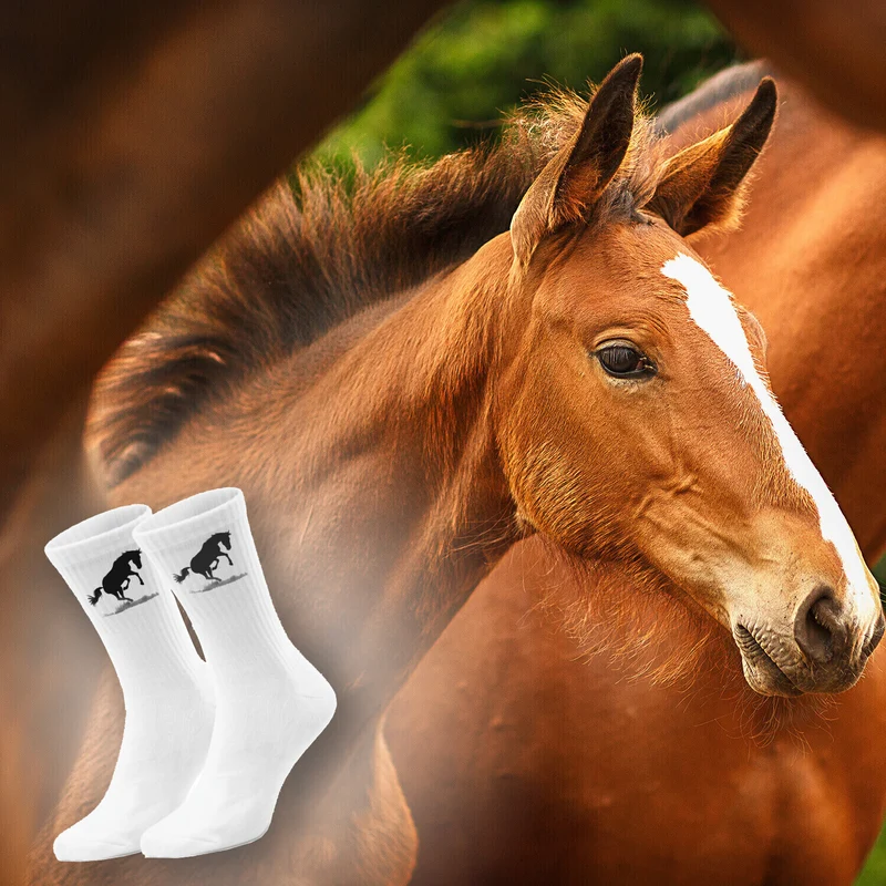 epicsocks Equine Elegance springendes Pferd Socken in 42-46 im Paar