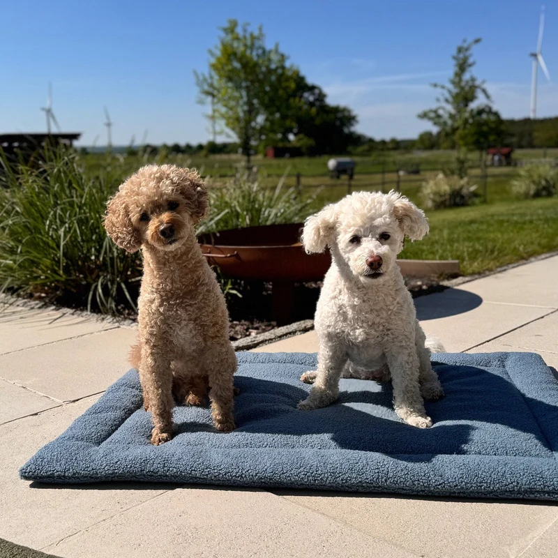Poufet Komfort Hundedecke – rechteckig | Bouclé | Handgemacht in Deutschland