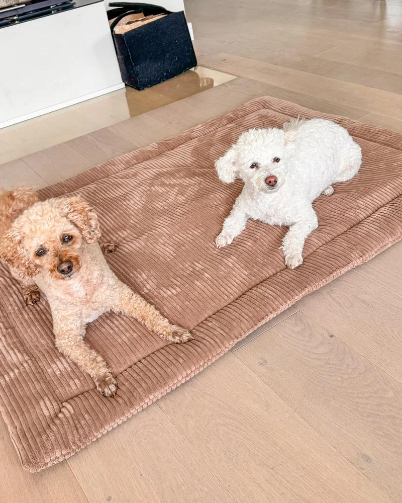 Poufet Komfort Hundedecke – rechteckig | Breitcord | Handgemacht in Deutschland