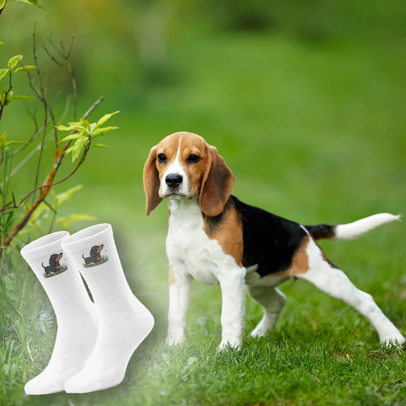 epicsocks Dackel Dreams Lebhaft Socken in 37-41 im Paar