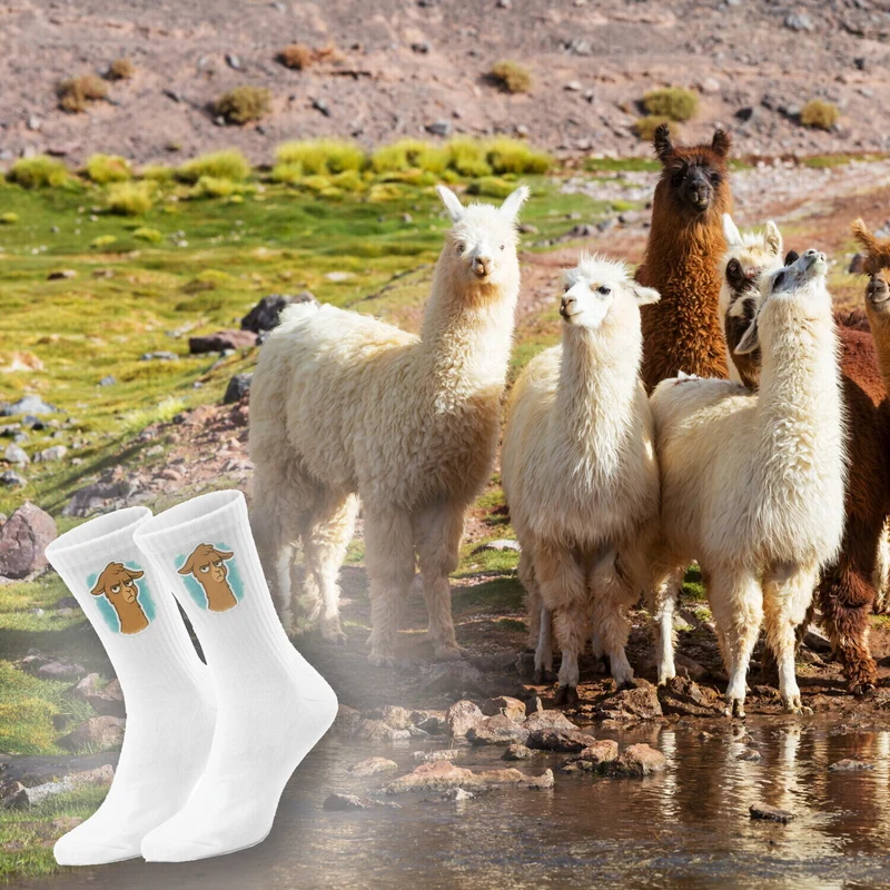 epicsocks Llama Expressions Unbeeindruckte Lama Socken in 37-41 im Paar