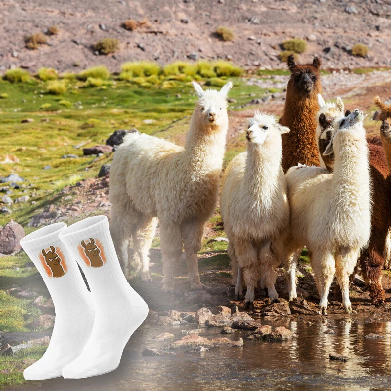 epicsocks Llama Expressions Verärgertes Lama Socken in 37-41 im Paar