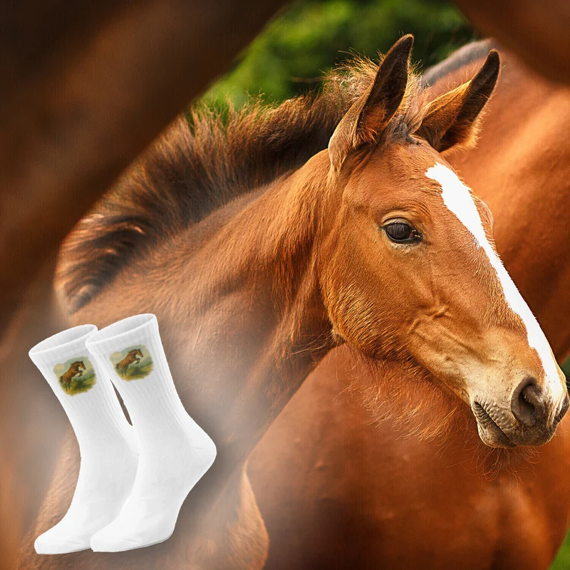 epicsocks Equine Dreams Springendes Pferd Socken in 37-41 im Paar