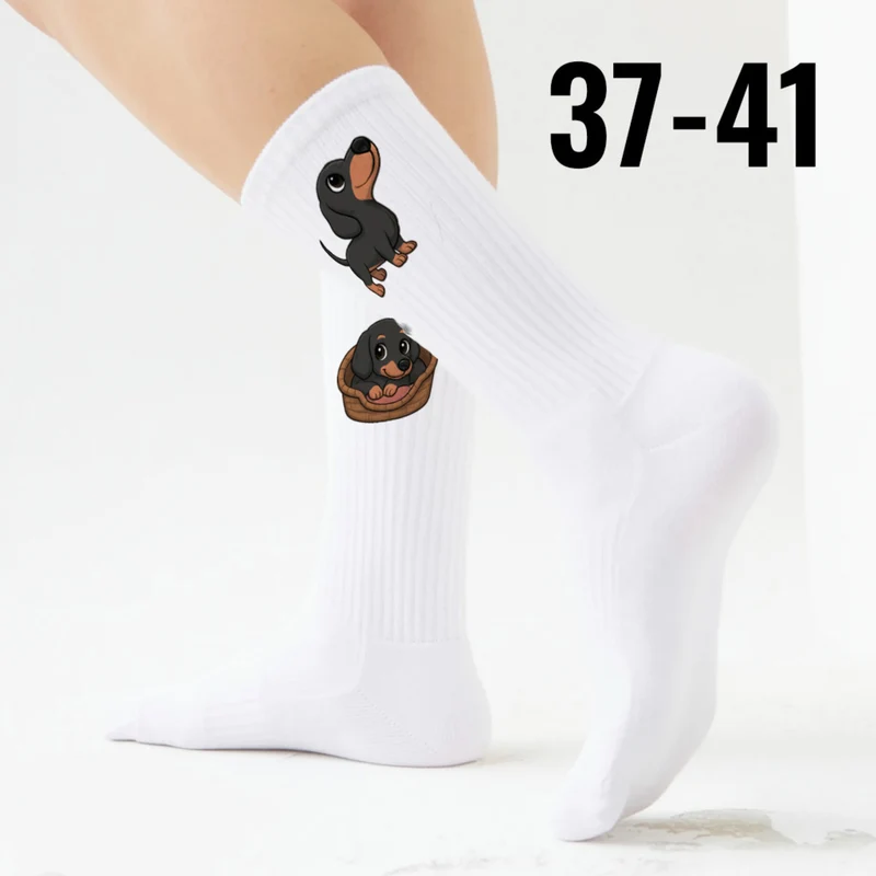 epicsocks Dackelfreude Socken in 37-41 im 6er Set in Geschenkdose im 6er Set in Geschenkbox