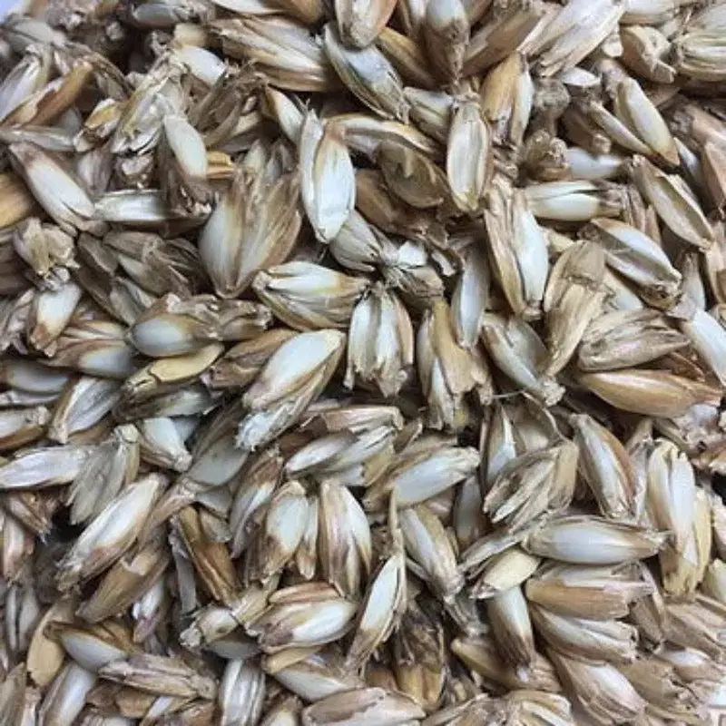 Bio Kuschelkissen Esel aus Baumwolle – Spelzfüllung, Bio