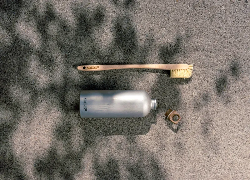 Cleaning Brush