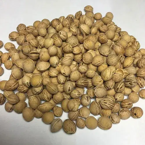 Bio Wärmekissen Ziege aus Bio-Baumwollplüsch – Dinkel oder Kirschkern