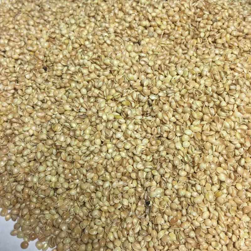 Bio Kuschelkissen Fuchs aus Baumwolle – Spelzfüllung, GOTS