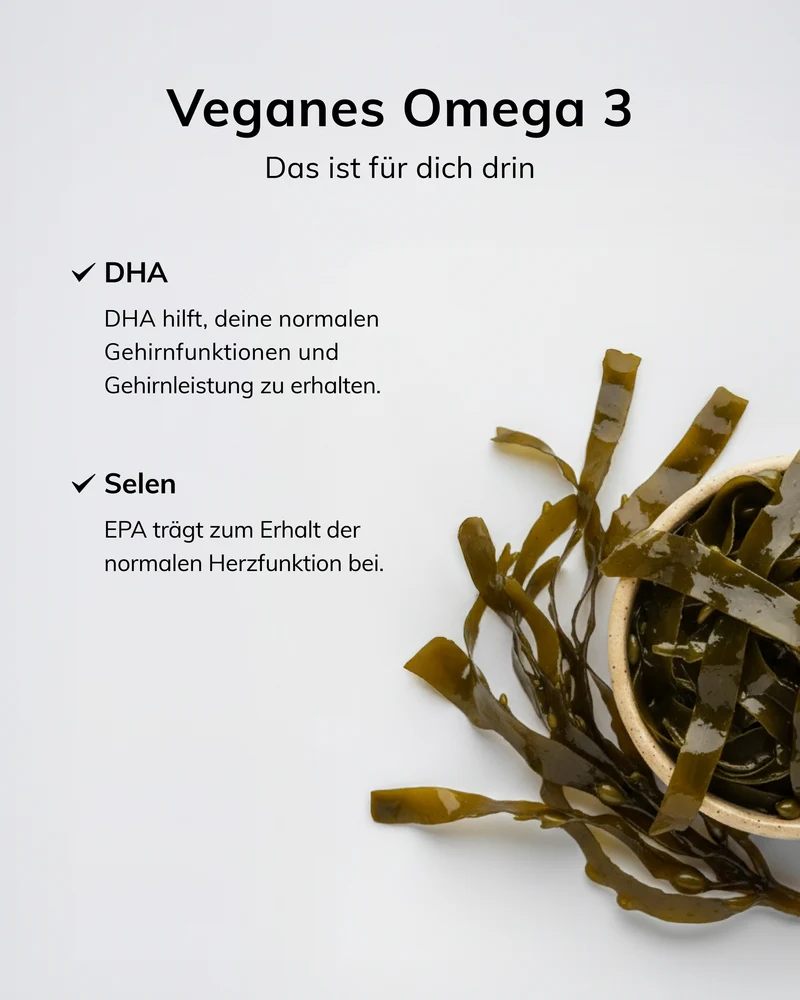 Vegan - Starterpack