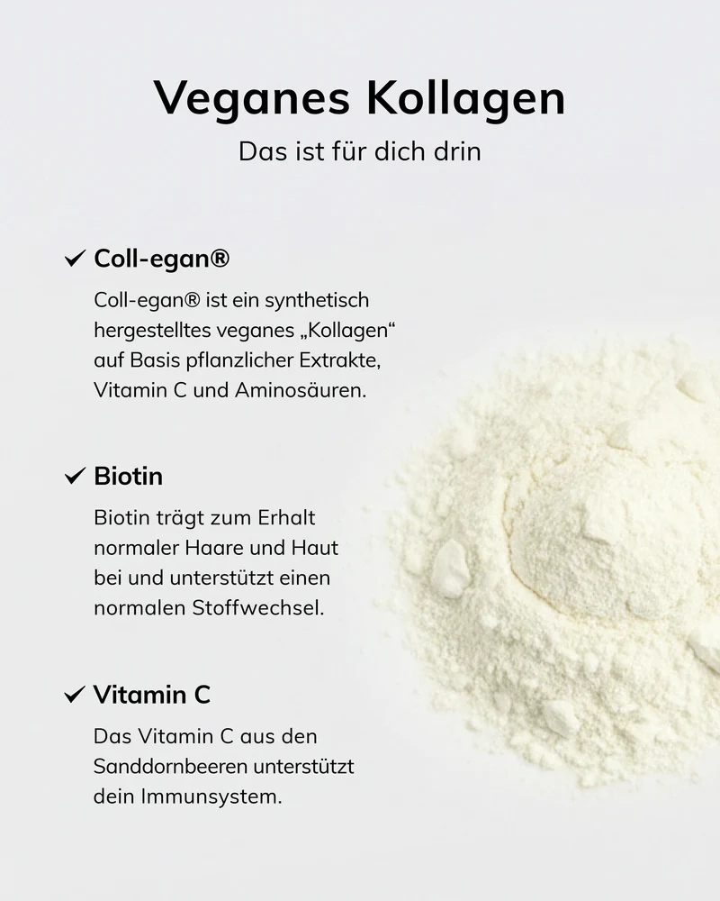 Vegan - Starterpack