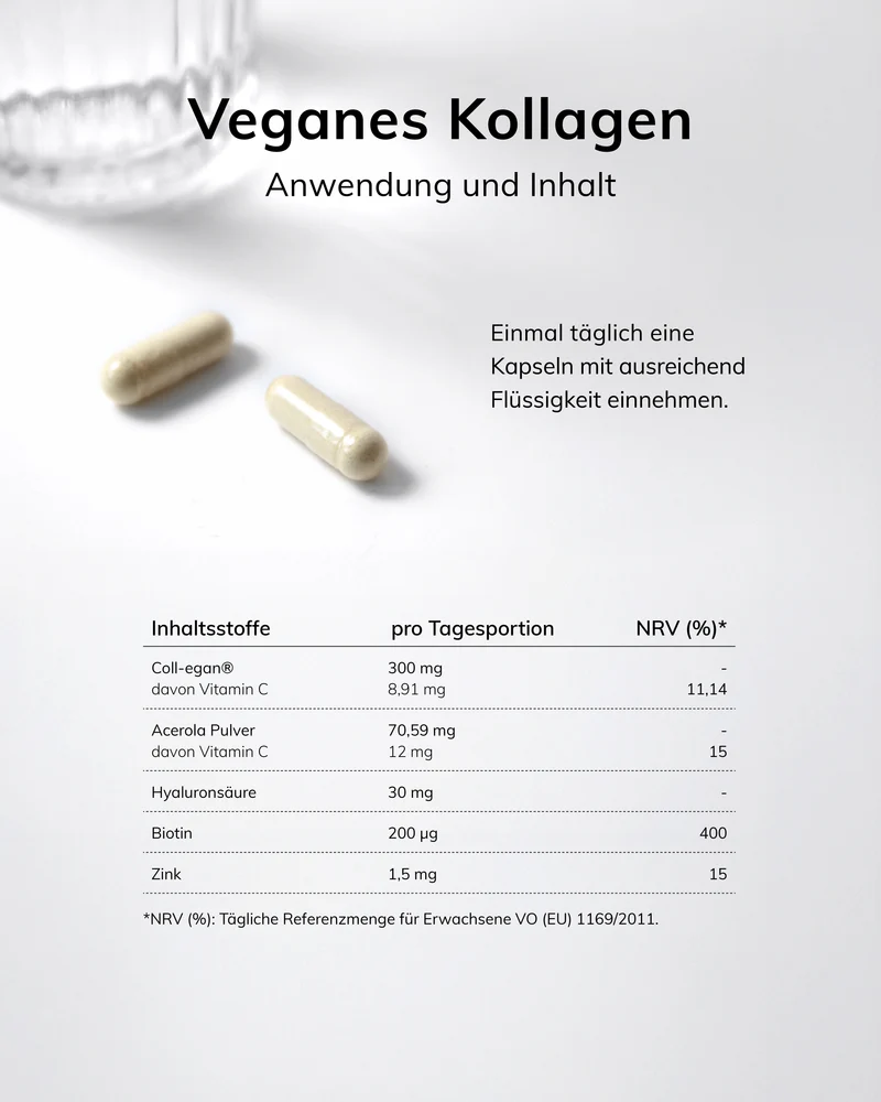 Vegan - Starterpack