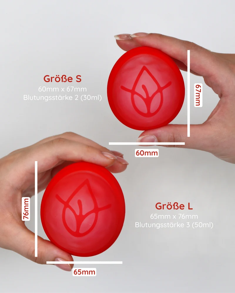 Menstruationsscheibe 2er Set + Case Bundle