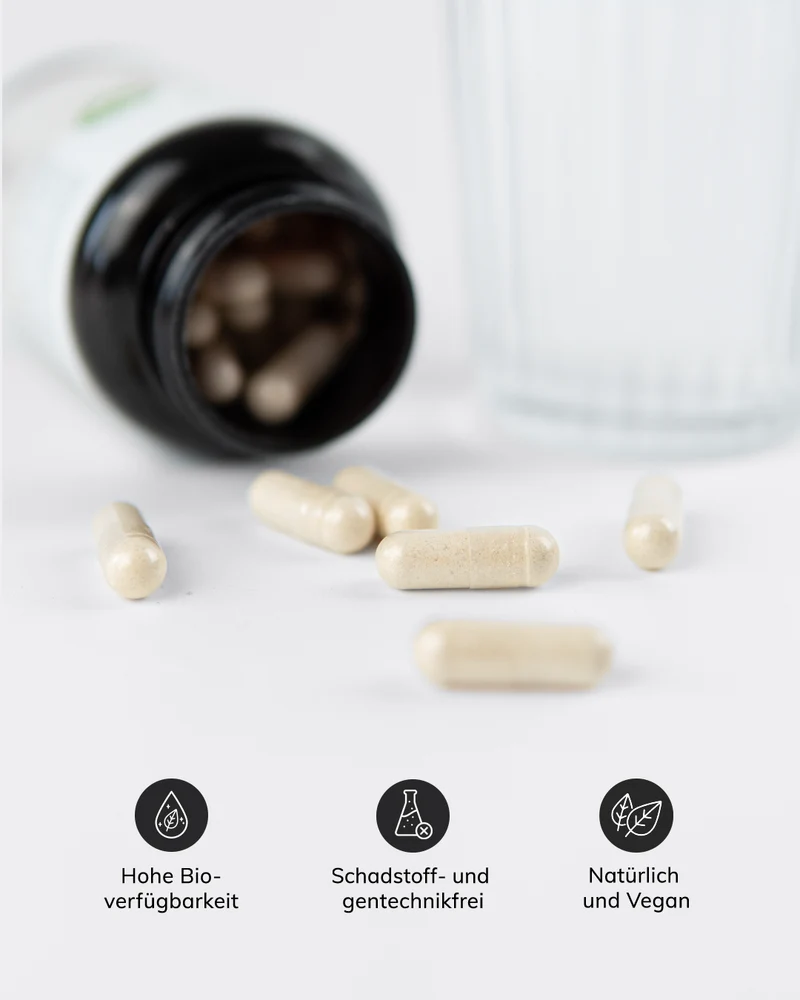 Well-Aging Set