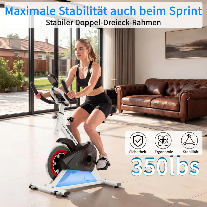 Heimtrainer Fahrrad, Leises Fitnessbike mit einstellbarem Magnetwiderstand, Indoor Cycling Bike mit LCD-Display, Ergonomischer Komfortsattel für Home Gym Indoor Cycling