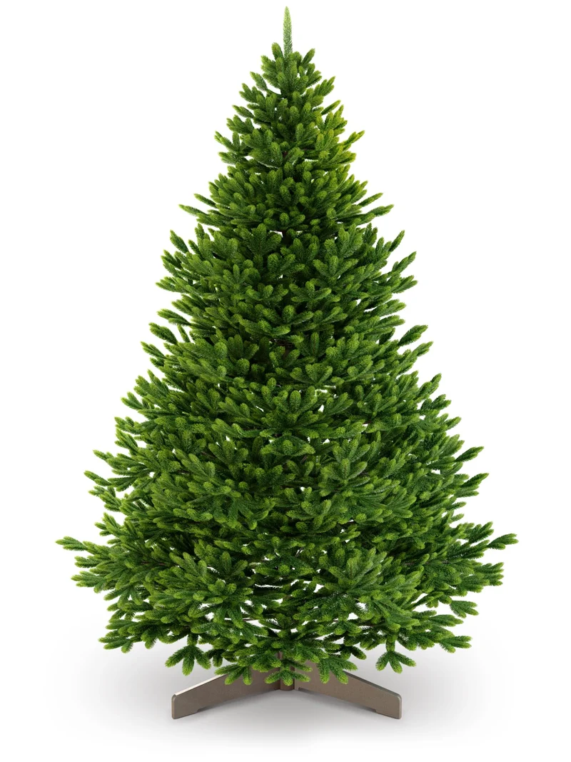 Künstlicher Weihnachtsbaum – 100 % Spritzguss Nordfichte mit LED | Premium Tannenbaum naturgetreu inkl. FSC-Holzständer & Aufbewahrungstasche