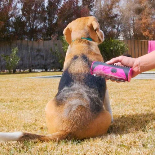 3-in-1-Bürste für Hunde und Katzen